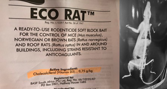 Eco Rat label