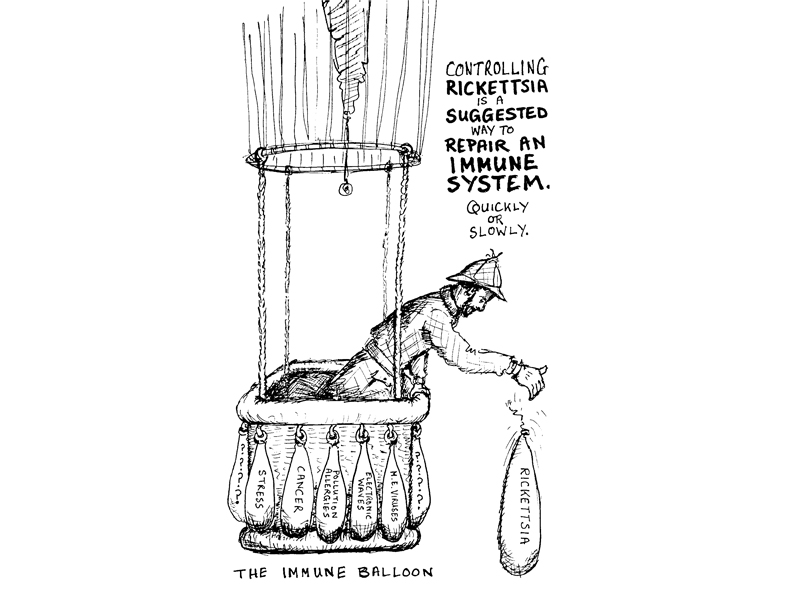 Patient's Booklet